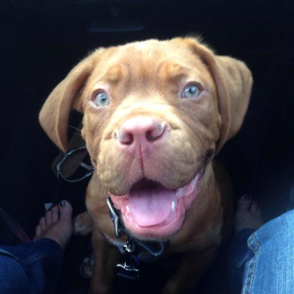 Profile Picture of Hooch Blickhahn (@danielleb905) on Poshmark