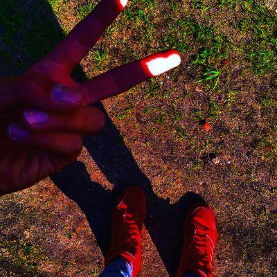 Profile Picture of Ben Hasse (@BenHaase) on Twitter