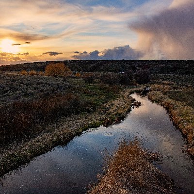 Profile Picture of Stacey Rasmussen (@FarmerPhotoGirl) on Twitter