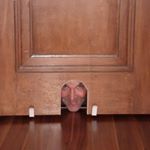 Mike Mulford - Instagram Profile Picture of Mike Mulford (@mulford.mike) on Instagram