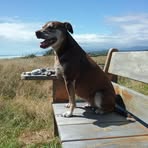 Profile Picture of Gillian Stretch (@Gillian-Stretch) on Facebook