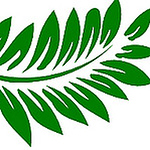 Profile Picture of //Green Fern// (@//Green Fern//) on Flickr