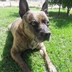 Profile Picture of Jake Babbitt (@the_jakey_boy_0601) on Instagram