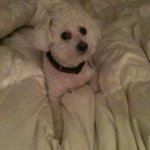 Profile Picture of Marilyn Saxton (@msaxton188) on Instagram