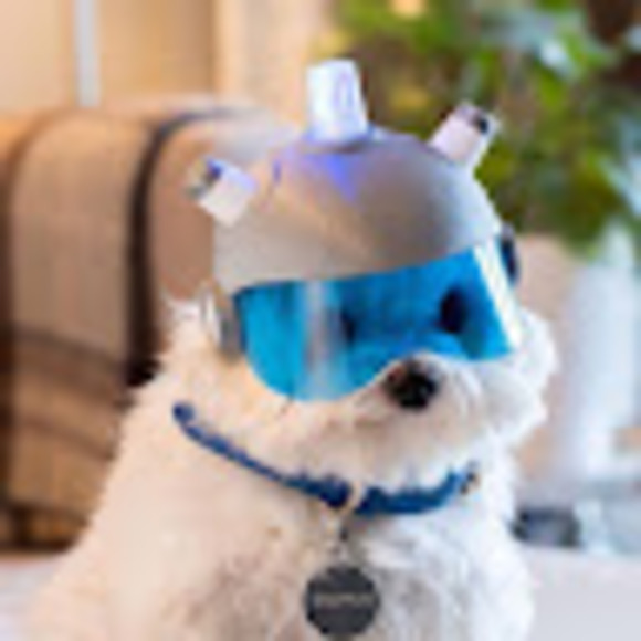 Profile Picture of Jonathan Liu (@jmazzic1) on Poshmark