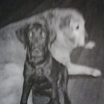 Profile Picture of Molly Wicker (@mpotter380) on Twitter