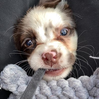 Profile Picture of Jason Connery (@JasonConnery8) on Twitter