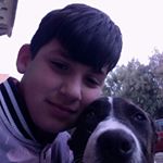 Michael gianino - Instagram Profile Picture of Michael gianino (@michaelgianino2018) on Instagram