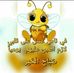 Profile Picture of Mhamad Sankari (@mhamad.sankari.31) on Facebook
