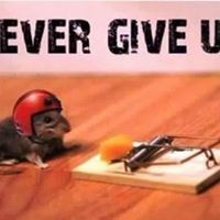 Profile Picture of Brian Schultz (@brian-schultz-20) on Quora