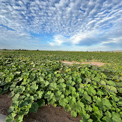 Profile Picture of Christian Araujo (@Fliparo) on Youtube