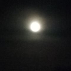 Profile Picture of Aaron Stitt (@AaronStitt1) on Twitter