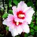 Profile Picture of Joey Boyette (@boyette3722) on Pinterest