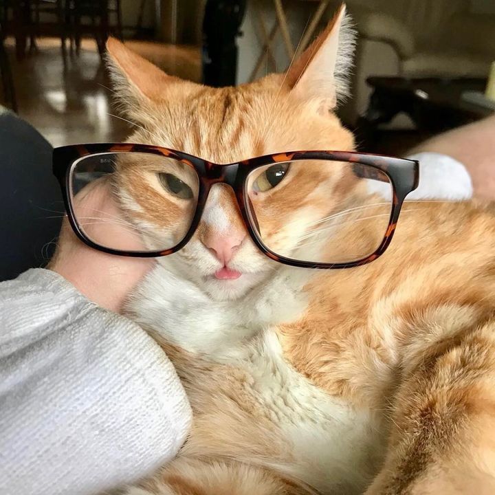 Profile Picture of brianfred (@brianfred7) on Tiktok