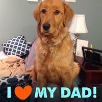 Profile Picture of Lyn Mitchell Belanger (@lyn-mitchell-belanger) on Quora