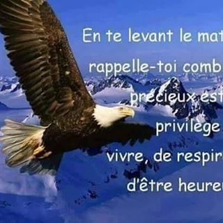 Profile Picture of Nancy Bob (@nancy.bob.581) on Facebook