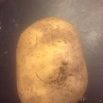 Profile Picture of Noah david jan hook (@hook_noah) on Instagram