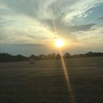 audrey gifford - Instagram Profile Picture of audrey gifford (@_audreygifford) on Instagram