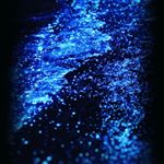 Profile Picture of Miguel valiente (@valiente1695) on Instagram