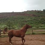 Profile Picture of Kathy Holley (@kate.ashton.378) on Instagram