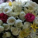 Profile Picture of Janet Velasquez (@janet.velasquez.564) on Instagram