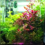 Profile Picture of GEORGE MICHOS (@george.michos) on Instagram