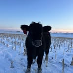 John Schechinger - Facebook Profile Picture of John Schechinger (@John-Schechinger) on Facebook