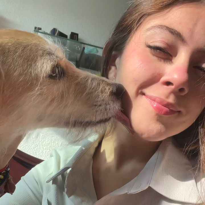 Profile Picture of VilCa Steph (@vilcasteph) on Tiktok