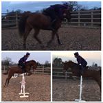 Profile Picture of Amy & Tango🏆🐴 (@amytangosj) on Instagram
