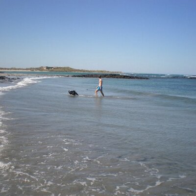 Profile Picture of Matthew Wines (@matthewwines7) on Twitter