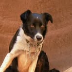 Profile Picture of Clay Wadman (@Clay-Wadman) on Facebook