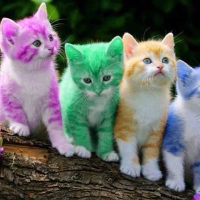 Profile Picture of Kendahl Christener (@kendahl_c) on Twitter