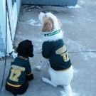 Profile Picture of Debbie Kohl (@dkohl1) on Pinterest