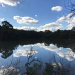 Profile Picture of Matthew Maury (@maury.matthew) on Instagram