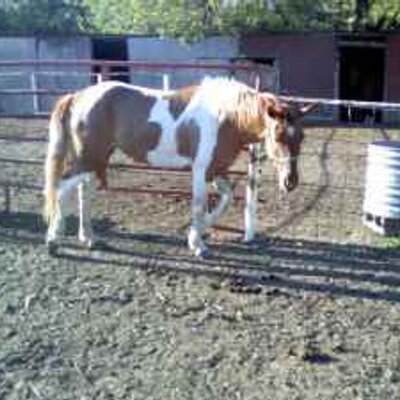 Profile Picture of Leanna Campos (@LeannaCamposJoe) on Twitter