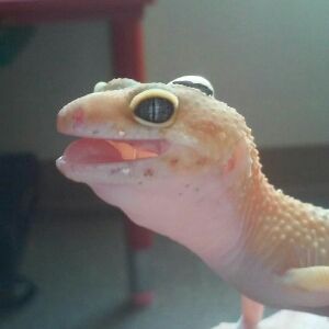 Profile Picture of billblad (@billblad) on Tiktok