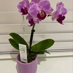 kimcatchpole - Instagram Profile Picture of kimcatchpole (@kimcatchpole) on Instagram