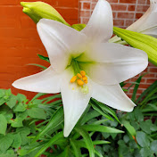 Profile Picture of Dora Ramos (@doraramos9596) on Youtube