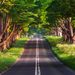 Profile Picture of Maurice Winter (@amwa1980) on Pinterest