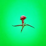 Profile Picture of Arminda John (@arminda_john.6879) on Instagram