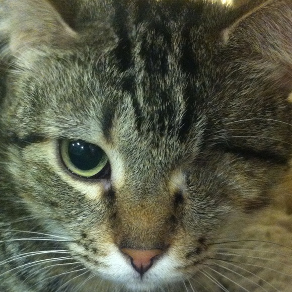 Profile Picture of Maria Ojeda (@maria_hope) on Poshmark