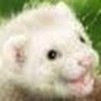 Profile Picture of Ian Michaud (@ian-michaud-8) on Quora