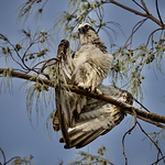 Profile Picture of Joce Captures (@joce captures) on Flickr