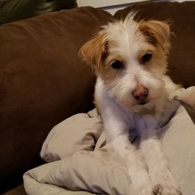 Chris Monroe - Pinterest Profile Picture of Chris Monroe (@monroebro) on Pinterest