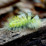 Profile Picture of David Amo (@davidamomata) on Flickr