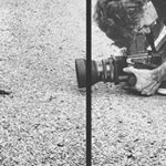 Profile Picture of Daniel  Serafini (@danserafini) on Instagram