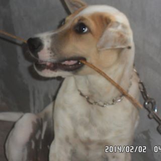 Profile Picture of Jerry Caudilla (@Jerry-Caudilla) on Facebook