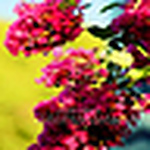 Profile Picture of Alex Vega Fotografias (@Alexitovegar) on Flickr