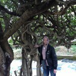 Profile Picture of Niko Colic (@nikocolic) on Instagram