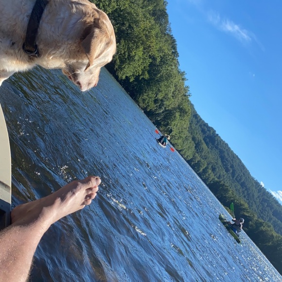 Profile Picture of Daniel Fey (@daniel_j_f) on Poshmark